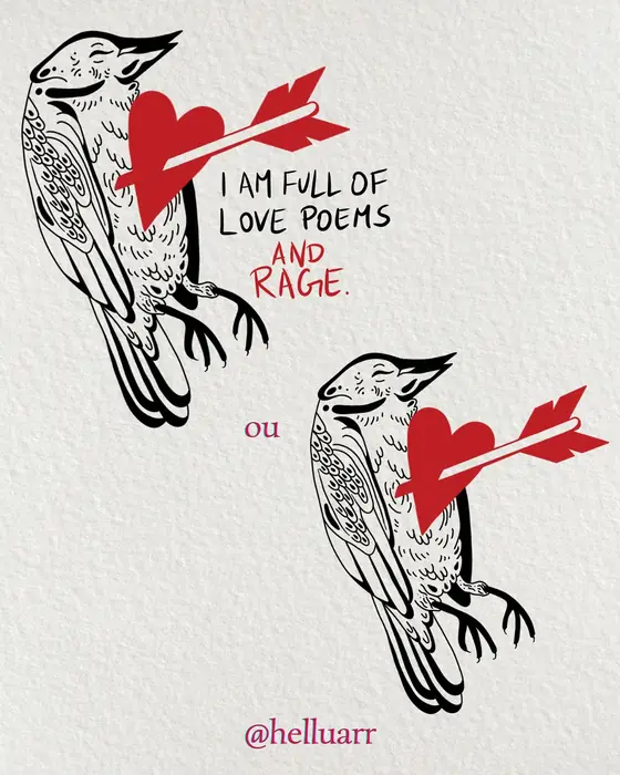 Flash: pássaros “love poems and rage”