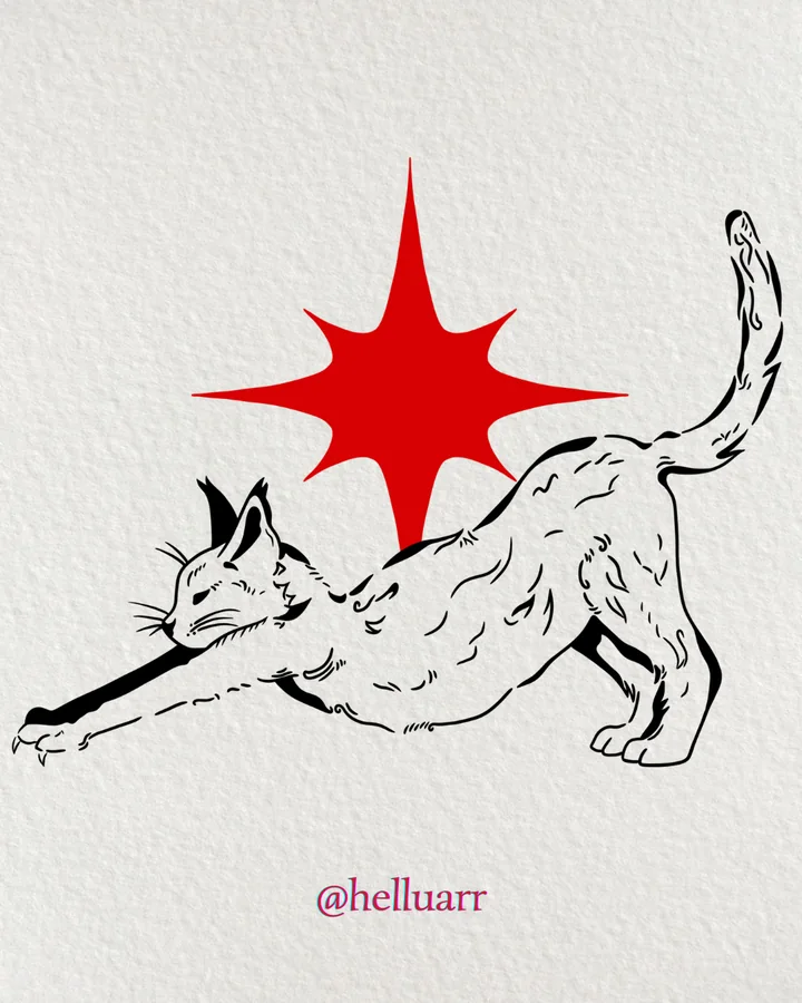 Flash: gato se espreguiçando