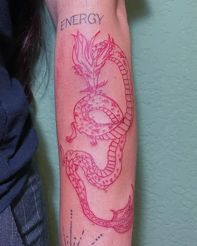 cobra e lanterna, perna